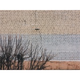 Школа 10 треснула - 3.jpg